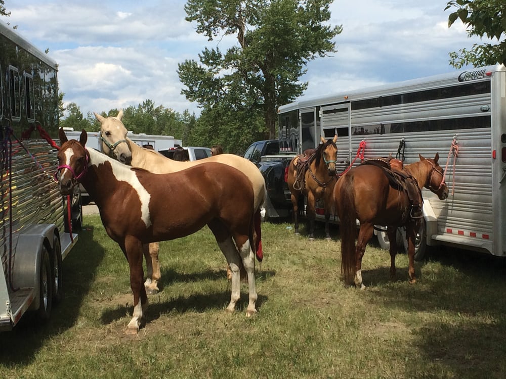 Horses that have travelled to events and commingled with others are especially vulnerable to nEHV-1 infection.