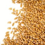 The Official Grain Grading Guide is a complete reference for grading grains, oilseeds and pulses.