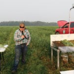 Start animals slowly on cover crop fields and closely monitor their grazing, says forage specialist Karin Lindquist.