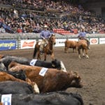 The Heritage Ranch Rodeo will be held in the evening for the first time in many years. This event features ranchers demonstrating practical skills such as wild cow milking, team sorting, and stray gathering.