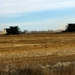 Harvesting near Didsbury on Oct. 15.