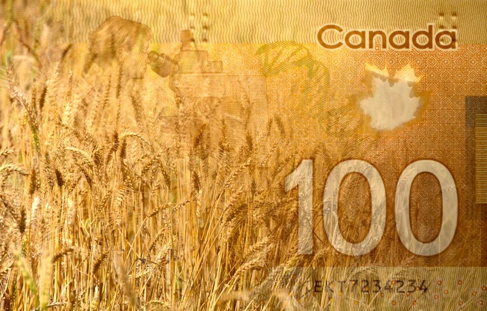 Concept of making money agriculture