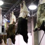A still from a video explaining the findings from the latest National Beef Quality Audit.