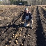 Steve Breum launched Alberta Farm to Food Bank this year to help Alberta food banks access fresh, storable produce.