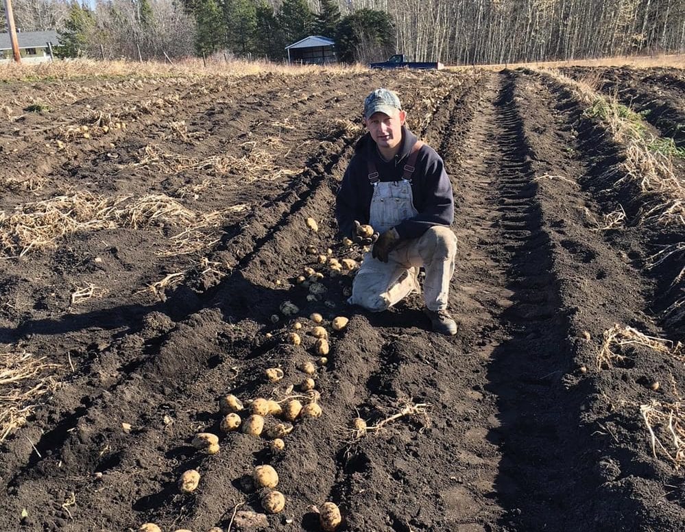 Steve Breum launched Alberta Farm to Food Bank this year to help Alberta food banks access fresh, storable produce.