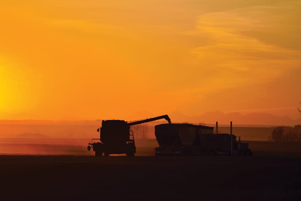 After horrible weather in September and early October, producers across the province were given a reprieve  from Mother Nature and took full advantage — including this operation east of Carstairs, shown on the evening of  Oct. 21.