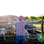 Agriculture has long been a male-dominated industry but that is finally changing, say those at the forefront of the effort to tear down barriers faced by ‘farmwives.’