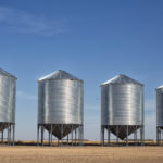 Will there be any canola left in bins come fall?
