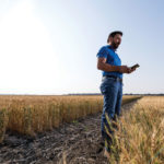Wheat breeder Curtis Pozniak is on a quest to figure out what makes wheat wheat.