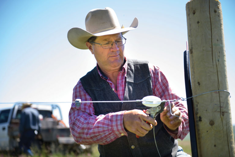 It’s all about the grass at this all-inclusive cattle resort in the ...