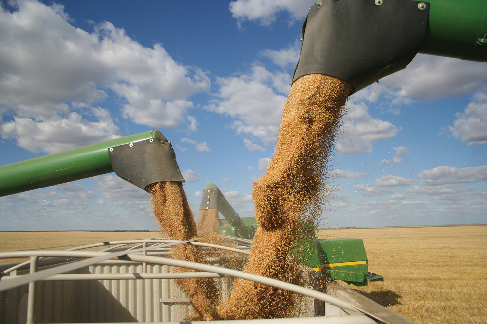 A new research chair at the University of Alberta will take a whole-farm  approach on boosting yields and crop quality.