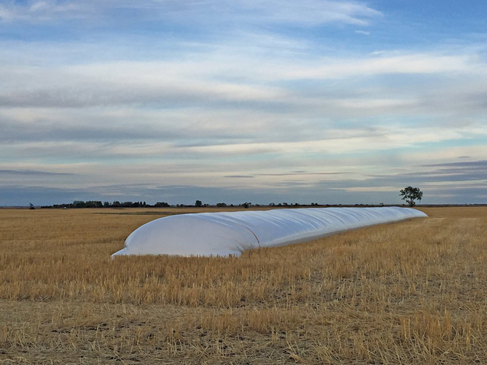 Alberta farmers have been grappling with the issue of waste plastic for years, but most don’t have a recycling option. 