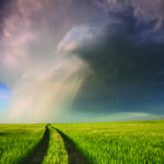 Premiums for crop insurance, including hail coverage, will be significantly lower for most growers this year,
says the Agriculture Financial Services Corporation.