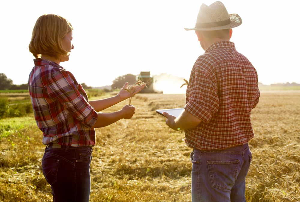 Though many farmers may not realize it, their routine in a global context is essential to food security and social stability.