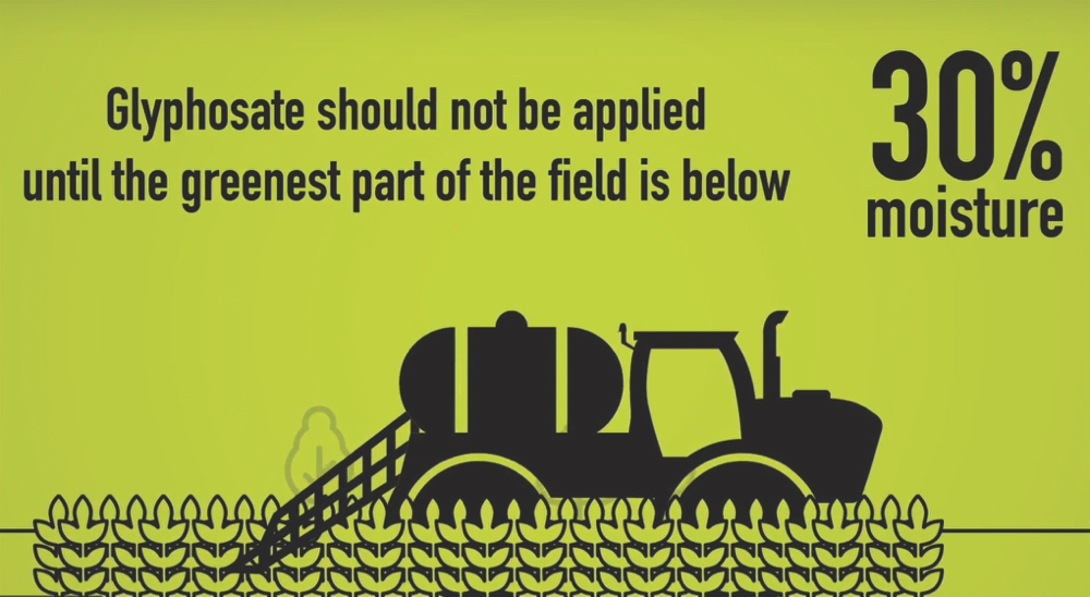 Buyers of Prairie crops are “increasingly testing shipments with highly sensitive equipment for levels of pesticide residues” including glyphosate, says Keep It Clean!, an initiative by canola, cereals, and pulse organizations.