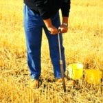 Five Q and As on soil testing