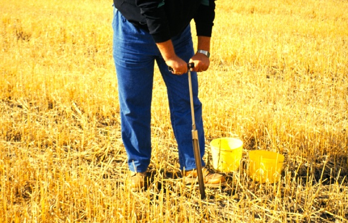 Five Q and As on soil testing