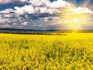 Photo: Thinkstock
