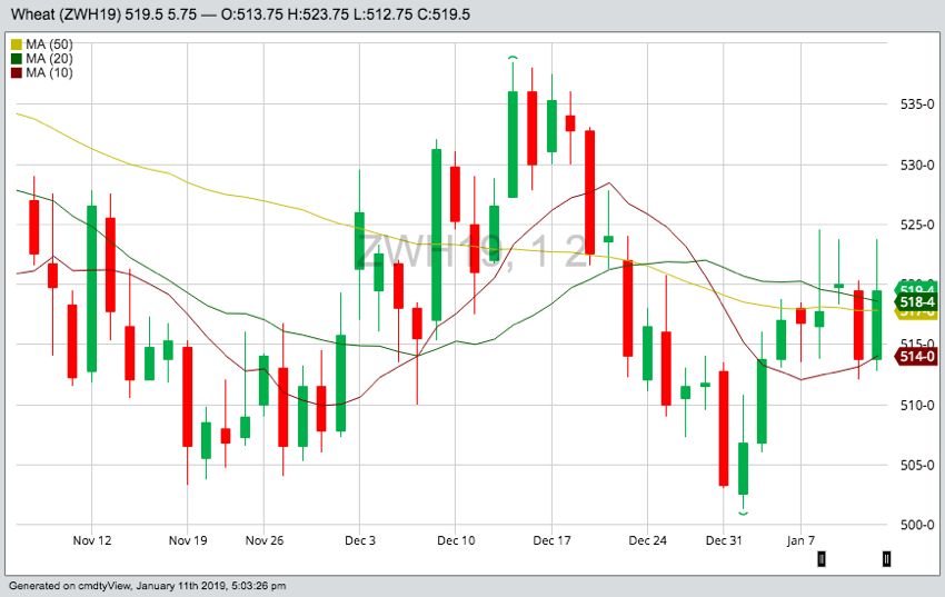 CBOT March 2019 wheat with 10-, 20- and 50-day moving averages. (Barchart)
