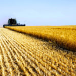 What should be in the next Ag Policy Framework?