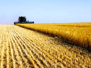 What should be in the next Ag Policy Framework?