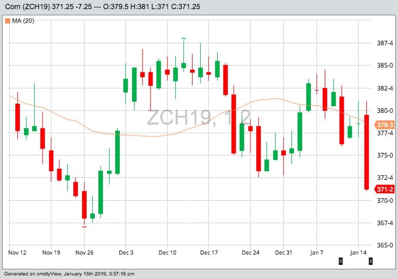 CBOT March 2019 corn with 20-day moving average. (Barchart)
