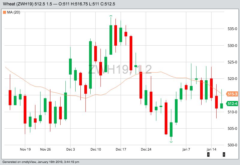 CBOT March 2019 wheat with 20-day moving average. (Barchart)
