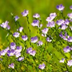 Photo: Thinkstock