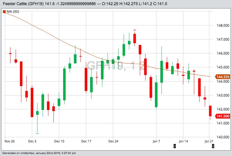 U.S. livestock: CME cattle fall as temperatures set to rise