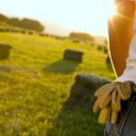 Agriculture is key to the post-pandemic revival, says farm group
