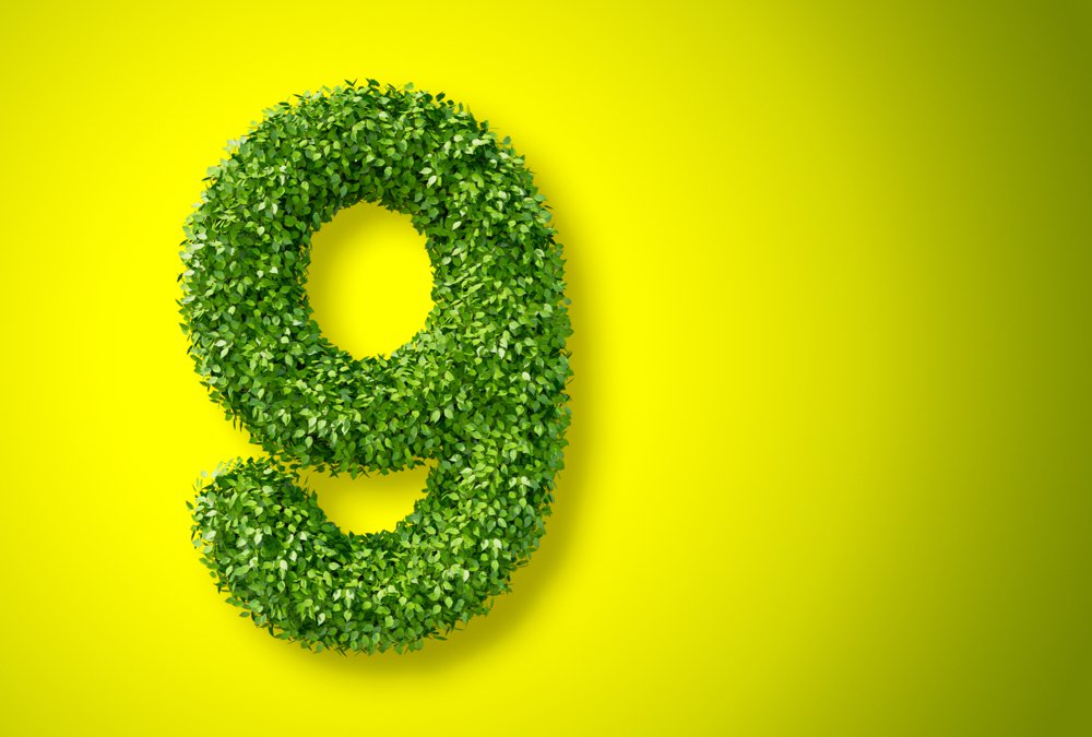 Photo: iStock/Getty Images
