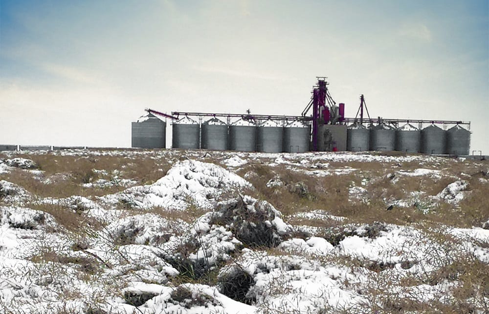 I have unharvested crop in the field. Is a Cash Advance still an option for my farm?