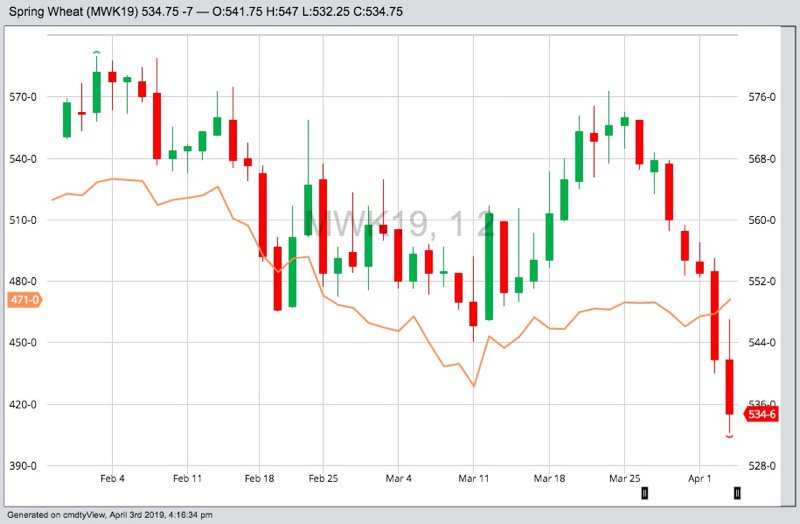 MGEX May 2019 spring wheat (in candlesticks) compared to CBOT May 2019 soft red winter wheat (orange line). (Barchart)
