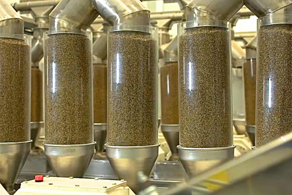 (Screengrab from Manitoba Harvest corporate video via YouTube)
