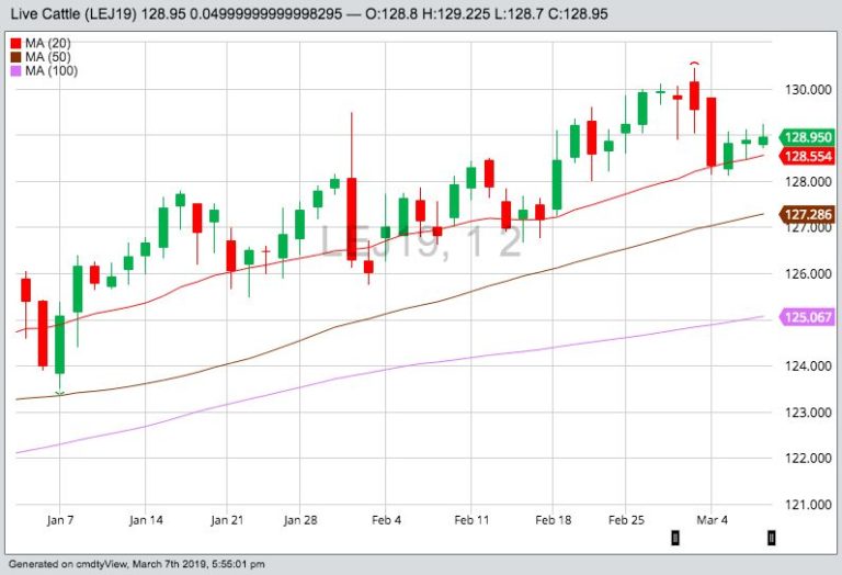 U.S. livestock Live cattle rise on firm beef, cash prices Alberta