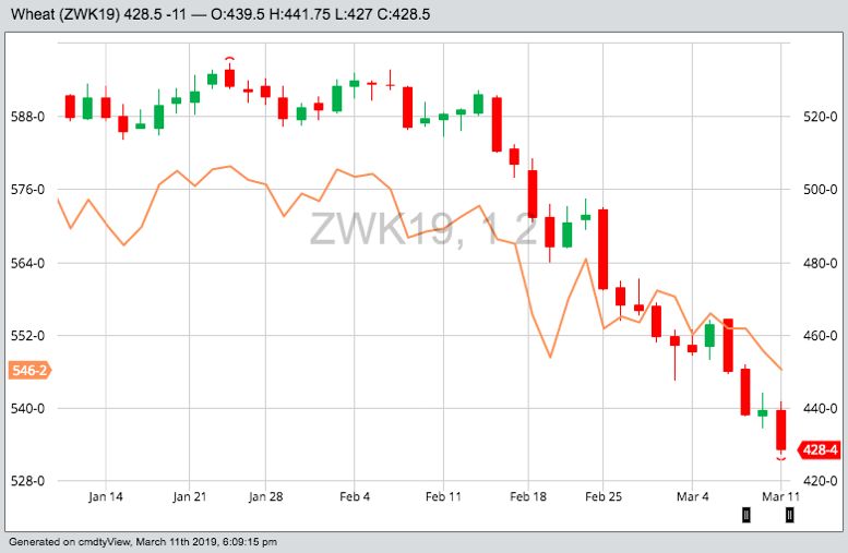 CBOT May 2019 wheat, with MGEX May 2019 wheat in orange. (Barchart)
