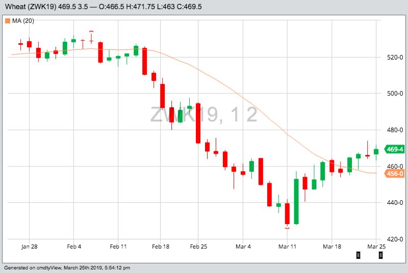 CBOT May 2019 wheat with 20-day moving average. (Barchart)
