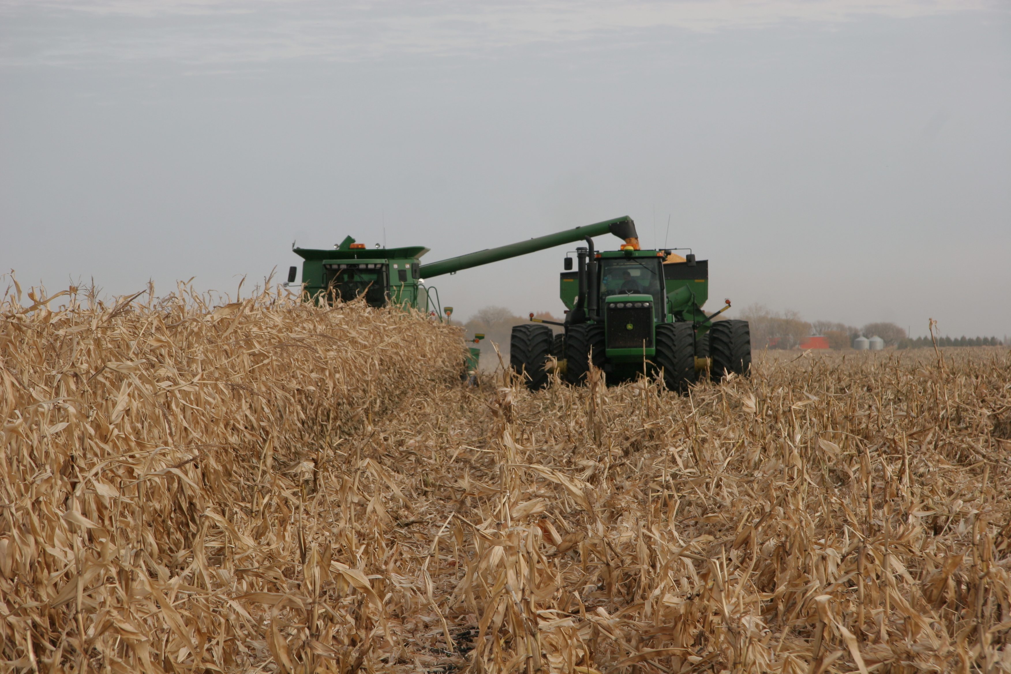 Ontario’s corn yields surprisingly large