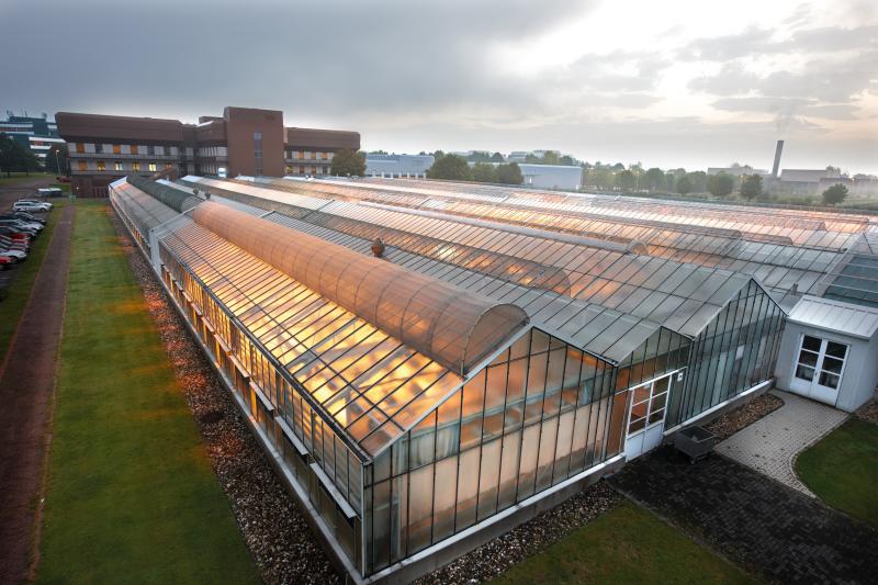 The headquarters of Bayer CropScience in Monheim, Germany: view at the illuminated greenhouses of the Institute for Fungicides. (Bayer CropScience photo)
