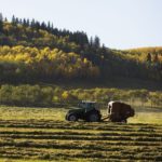 West marshaling feed for Hay East program