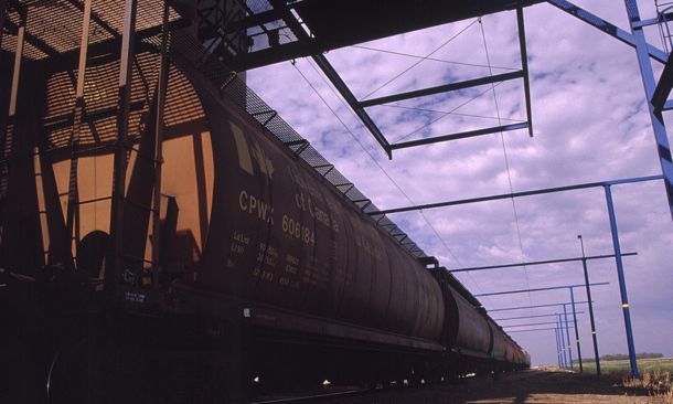 (Canola Council of Canada photo)
