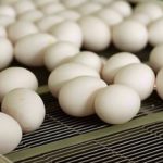 (Eggs.ca)