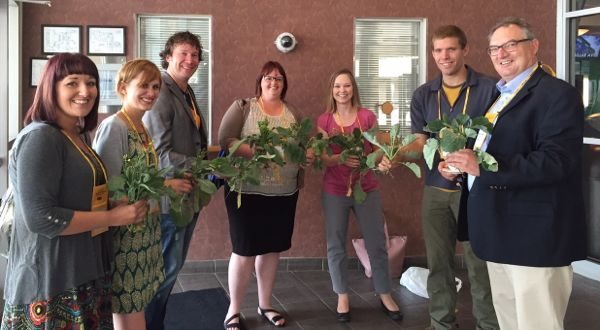 Canadian agronomists and researchers brought live canola plants to the conference to add a visual aspect to their presentations. “Don’t worry, we’re not spreading clubroot,” they said. (Leeann Minogue photo)
