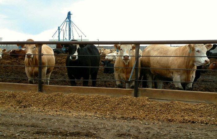 Brazil looking to open Canadian, Saudi Arabian fresh beef markets