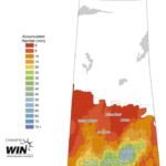 Sask. crops get soaked, but may take yield hit