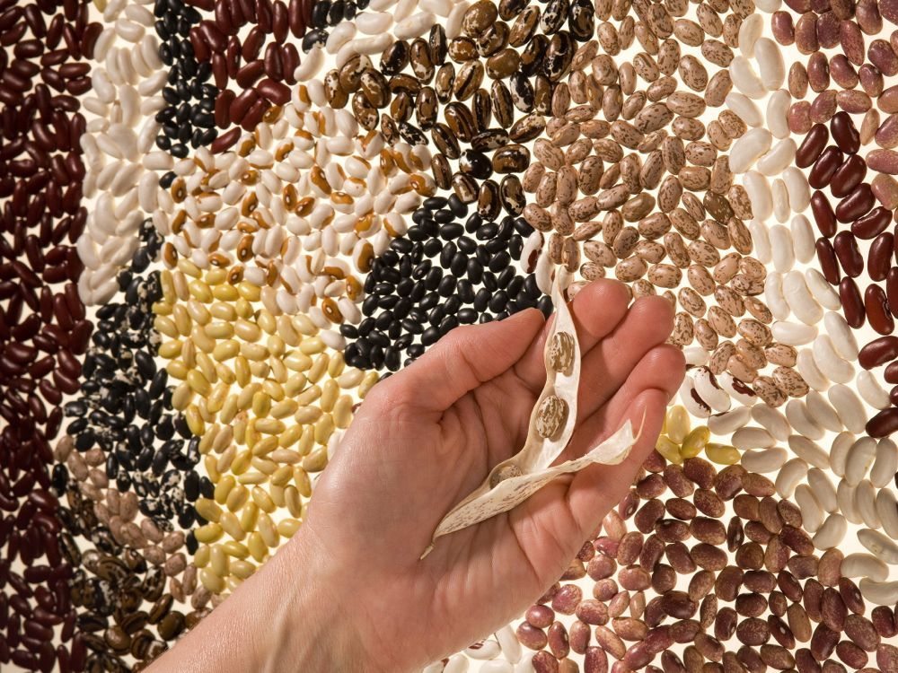 (Peggy Greb photo courtesy ARS/USDA)
