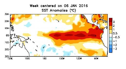 Pacific Ocean sea surface temperature (SST) anomalies for the week centred on Jan. 6. (CPC.ncep.noaa.gov)
