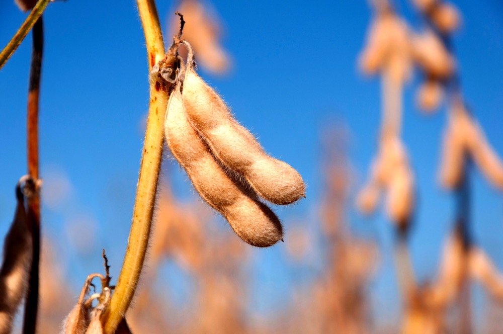 Photo: Thinkstock
