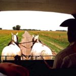 A gaucho drives a carriage through the pampas (lowland plains), a primary farming and ranching region of Argentina. (CIA.gov)