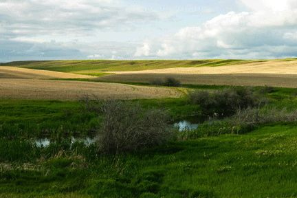(WSask.ca)
